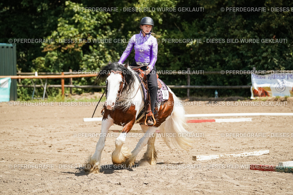 DSC07510 | Pferdegrafie