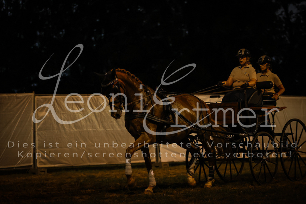 SaShow00316 | Leoni Ertmer Photography - Realisiert mit Pictrs.com