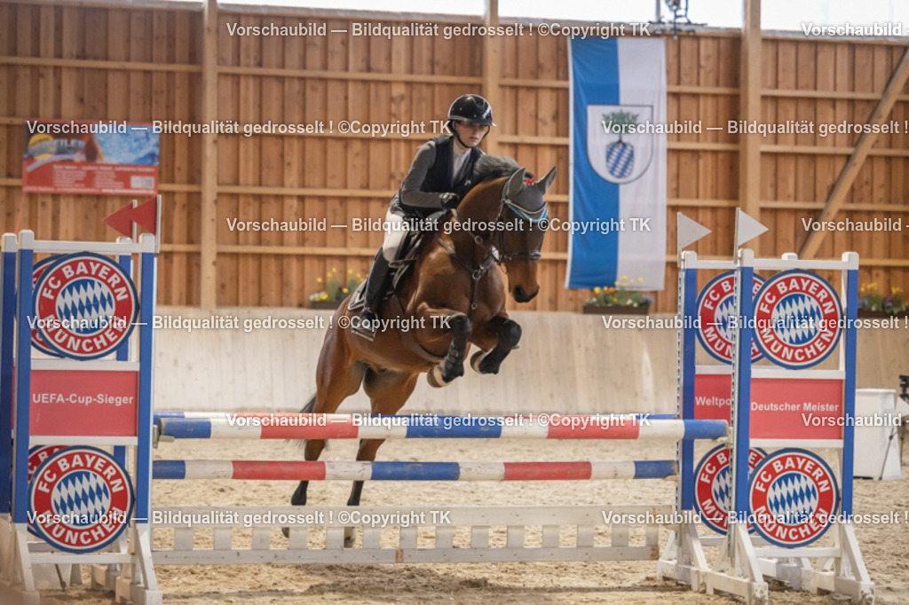 _D5A8195 | Emotionale Pferde- & People-Fotografie rund um Heidelberg, Leimen & Umgebung. Natürliche Fotos von Pferd, Mensch & Familie. Jetzt Termin sichern!