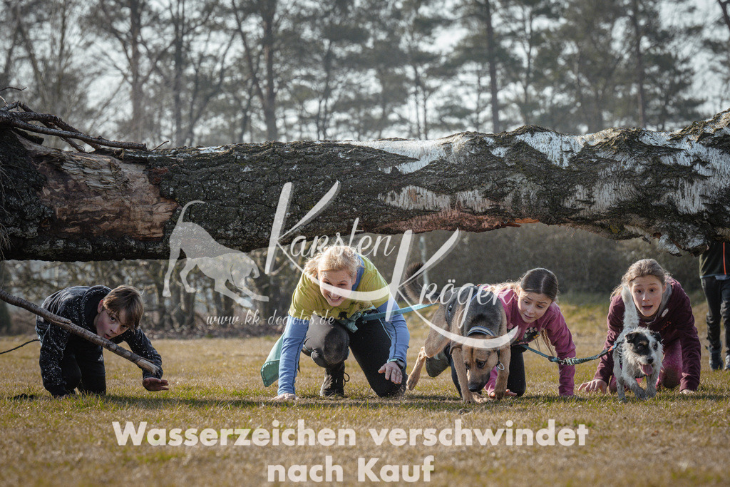 1010_ZZ91686 | kk-dogfotos