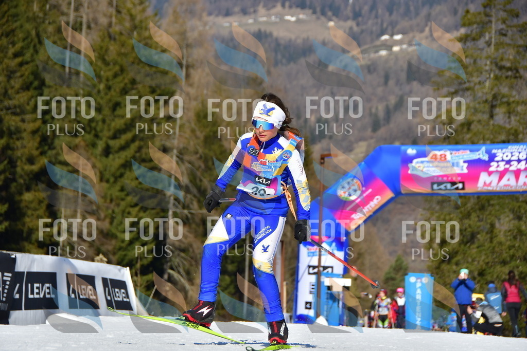 _DSC8782 | holidayphoto