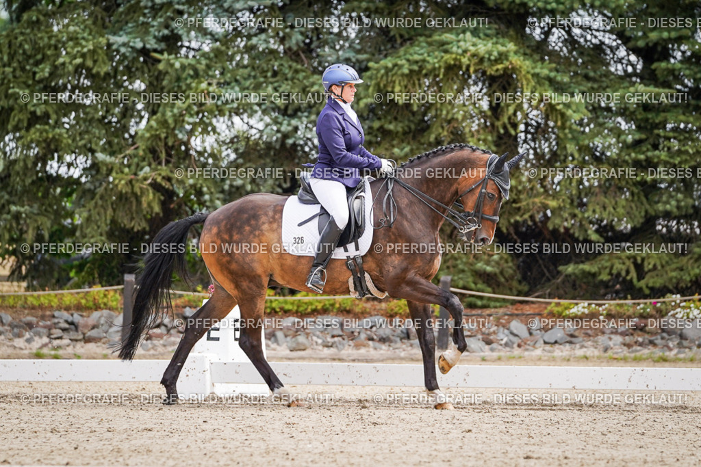 DSC02541 | Pferdegrafie