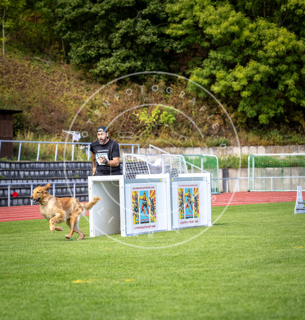 Pfotenfotografie_DV3A8140 | Hundefotografie, Tierfotograf, Pfotenfotografie, Fotoshooting Hund, Hunde Portrait, Hundesport, Hundeportraits, Heideshooting, Hunde, Sportfotograf, Hundefotograf, Turnierhundsport, THS,  - Realisiert mit Pictrs.com