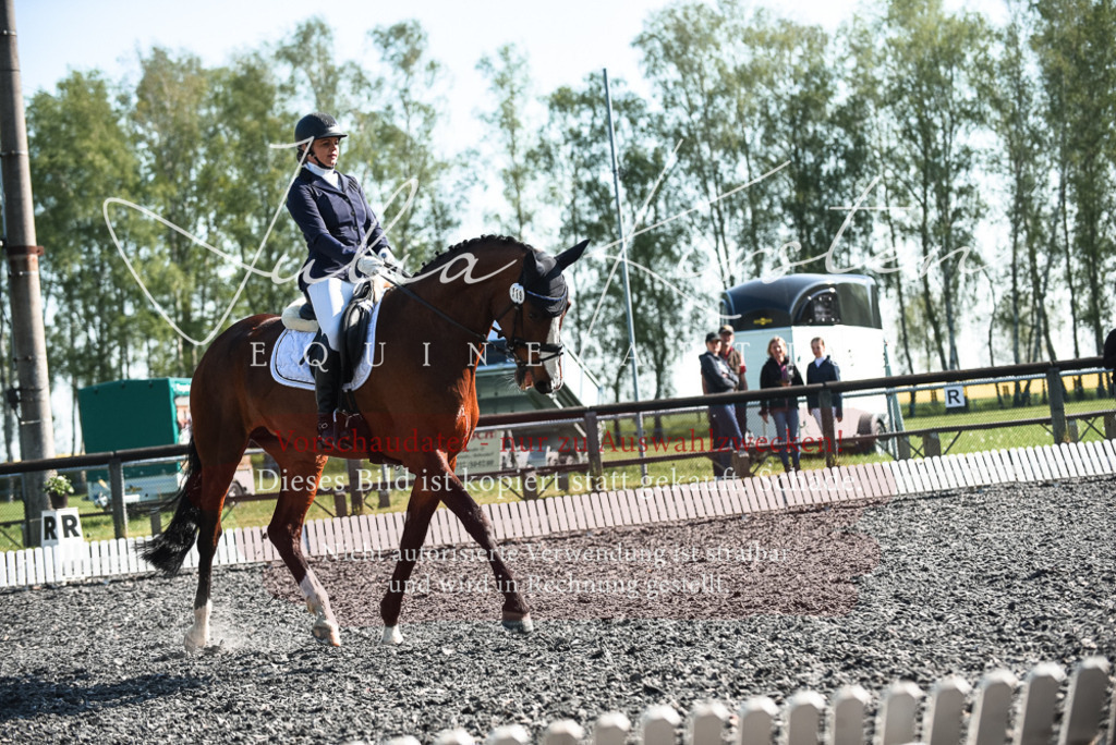 DSC_8532 | Pferde- und Turnierfotografie in Westsachsen. Pferdeportraits, Auftragszeichnungen und intuitive Kunst.