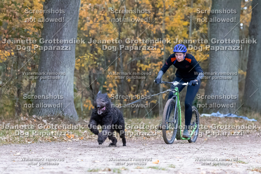 Dog Paparazzi - SD CaniX Championship 2025-192 | Dog Paparazzi Jeanette Grottendiek Fotografie & Videografie - Realisiert mit Pictrs.com