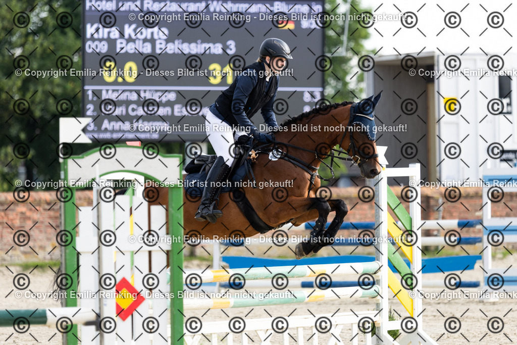 CL5A6121 | Emilia Reinking Fotografie - Realisiert mit Pictrs.com