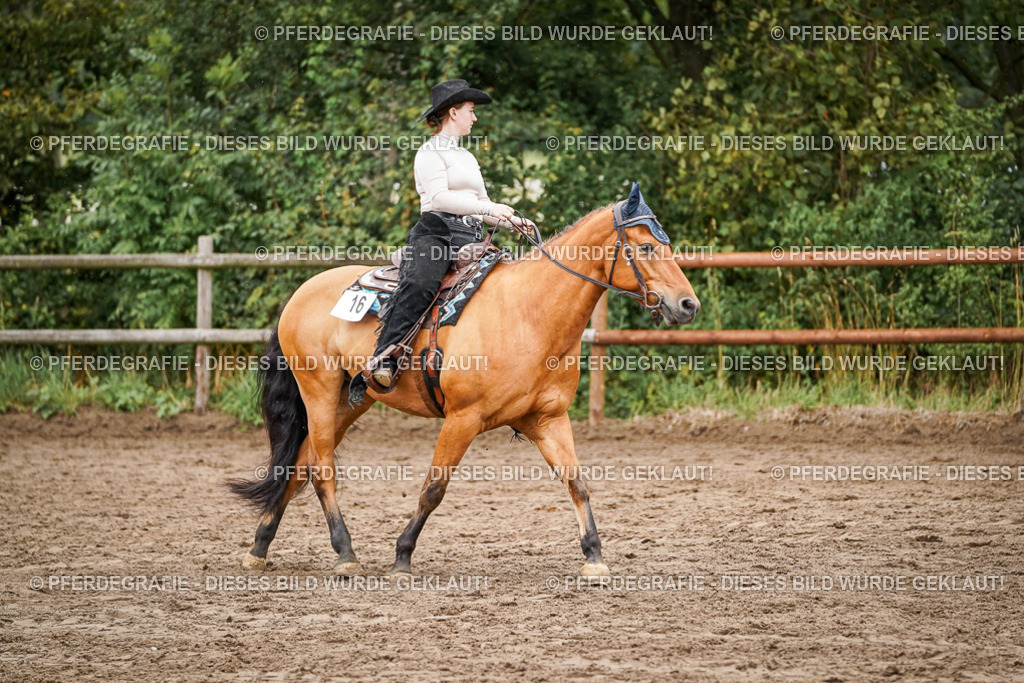 DSC04881 | Pferdegrafie