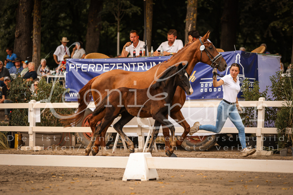 SaPA00277 | Leoni Ertmer Photography - Realisiert mit Pictrs.com