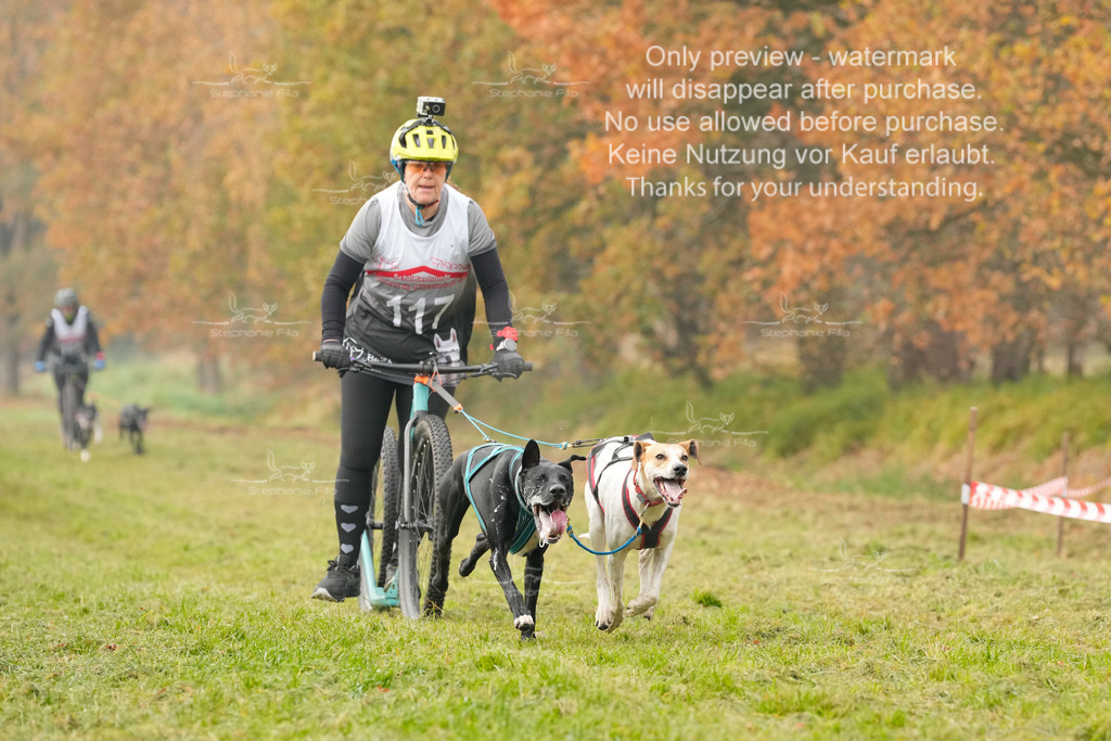 Visbeck_Sa_DS2DR2-112 | stephaniefillaphotographie - Realisiert mit Pictrs.com