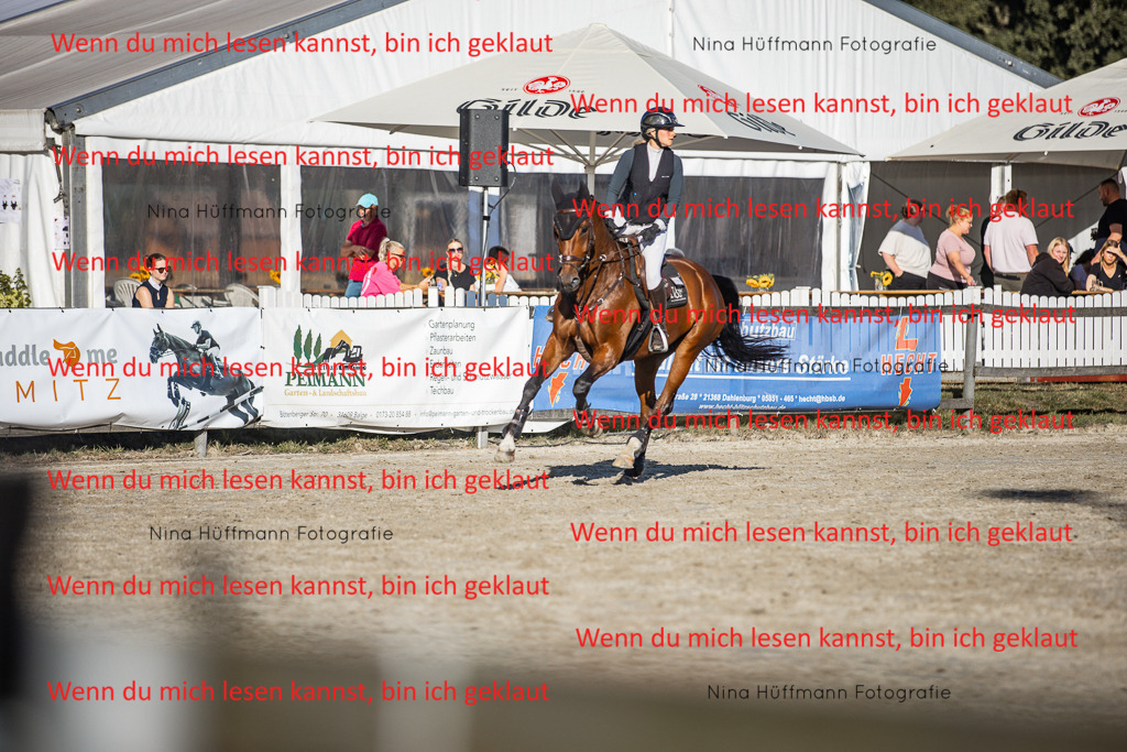 BK1A7818 | Turnierbilder Turnierfotos Nina Hüffmann Turnierfotografie Pferdefotografie Tierzeichnung Haustierzeichnung Pferdezeichnung Hundezeichnung Videograf  - Realisiert mit Pictrs.com