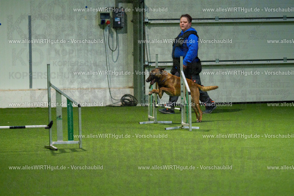 7R507498 | Professionelle Tierfotografie in Mönchengladbach von Daniel Wirth (allesWIRTHgut). Liebevolle & natürliche Bilder von Hunden & Katzen für unvergessliche Erinnerungen.