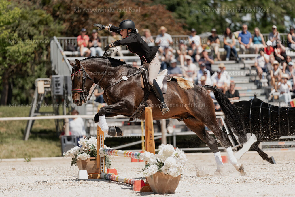 WE_SP_Stoib_330_PI2025_1999 | Pferd International München 2025