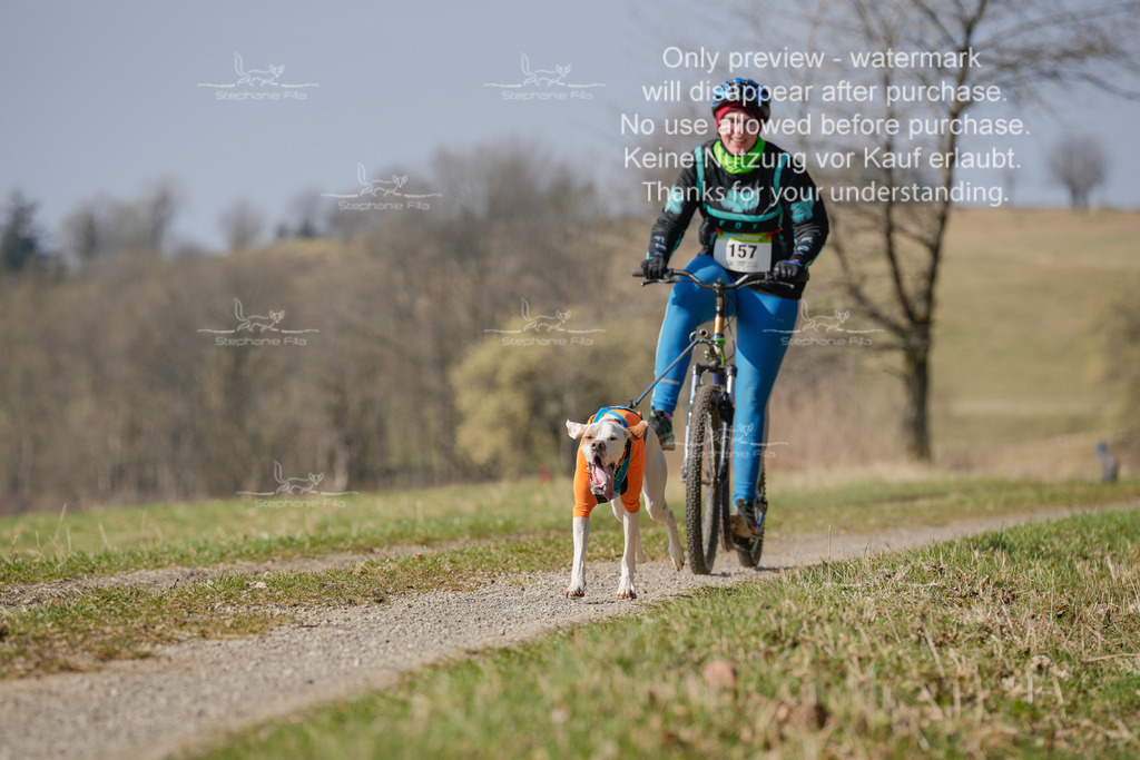Scooter_Lang-116 | stephaniefillaphotographie - Realisiert mit Pictrs.com