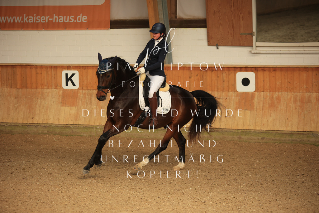 IMGT4869 | pl-fotografie