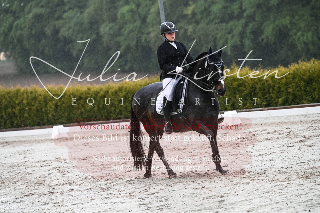 DSC_4674 | Pferde- und Turnierfotografie in Westsachsen. Pferdeportraits, Auftragszeichnungen und intuitive Kunst.