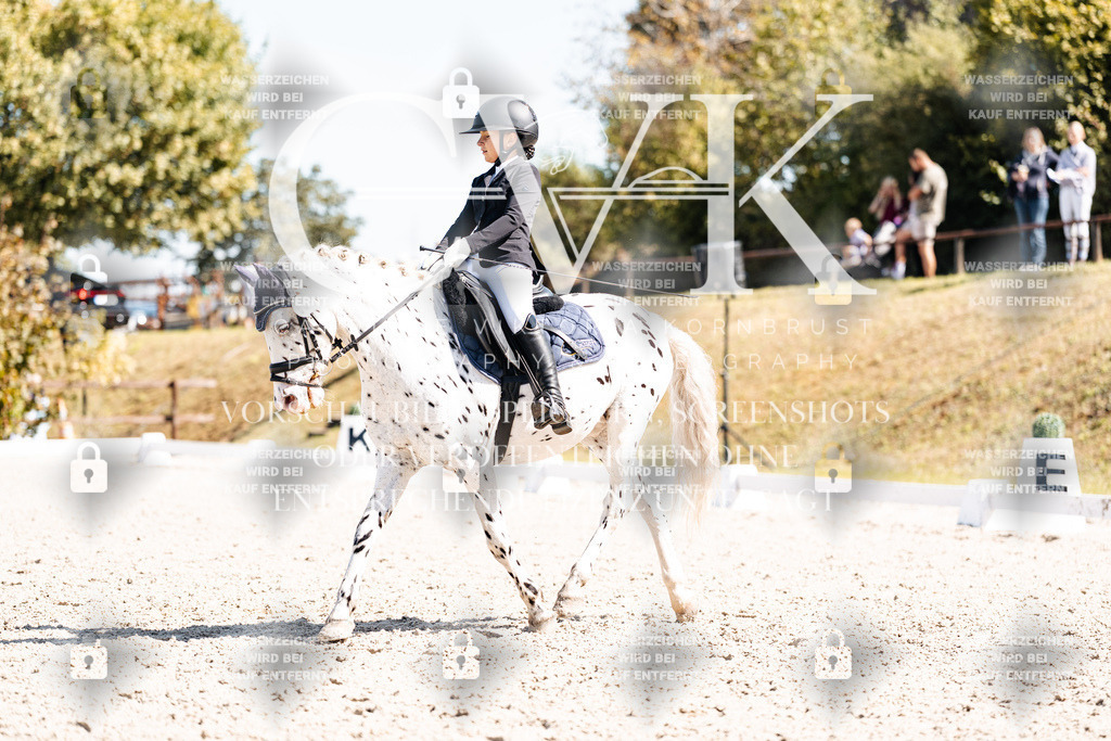 CK904187 | Turnierfotografie Pferdefotografie Trier Rheinland-Pfalz Pferdesport Reitsport Tierfotografie Sportfotografie Pferdevideo Pferdevideografie Equestrianvideography equestrianphotography  - Realisiert mit Pictrs.com