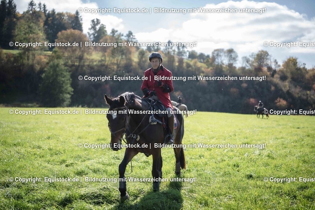 20251011_Jagd-Marbach_0506 | Foto: Thomas Hartig