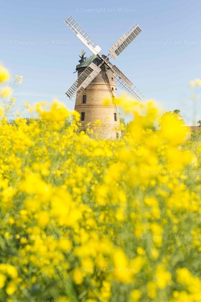 _M5D2521 | Leipzig Wandbilder Drucke Prints Leinwand Stadtmotive Leipzig Fotosdruck Kunstdrucke Bilder Leipzig Stadtansichten Acrylglasbilder Leipzig Wanddeko Fine Art Prints Wandbilder Büro Leipzig Bilder Praxis Zuhause Bilderdruck Poster Posterlounge Kunstdrucke - Realisiert mit Pictrs.com