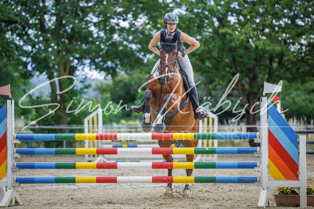 20260705-_3LI5920 | Tierfotografie Pferde, Hunde, Katzen, Haustiere.
Turnierfotografie Reitturniere, Reiten, Springreiten, Dressur in Hanau, dem Main-Kinzig-Kreis und dem Rhein-Main- Gebiet um Frankfurt