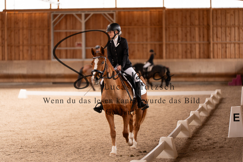A7506946 | Turnier/Reitfotograf