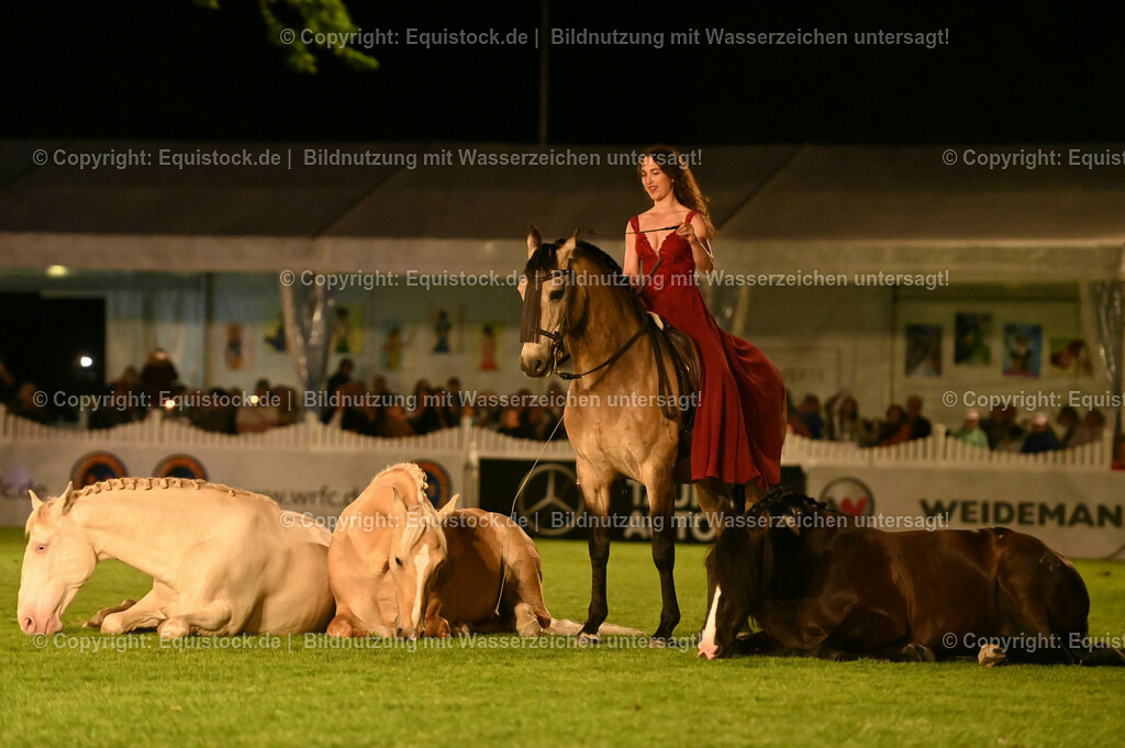20230526_Pferdenacht_1530 | equistock