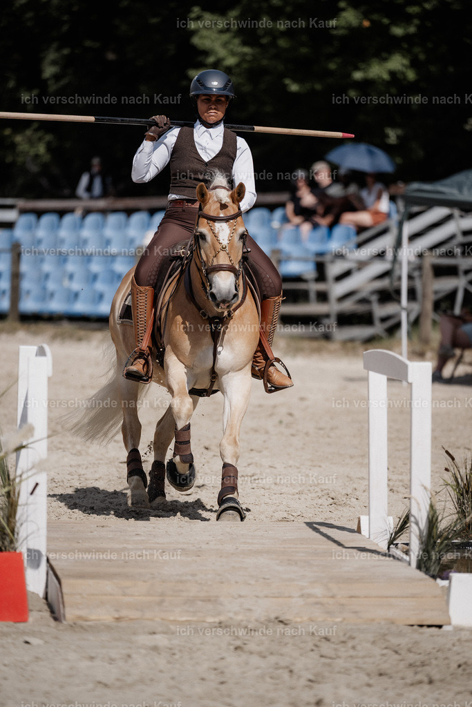 WS_SP_1_Stoibphotography_SO10739 | working equitationturnier fotograf videograf stoibphotography marixx film working equitation deutschland reitsport turnierfotografie eventfotografie equestrian events