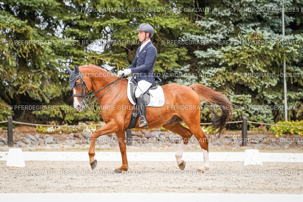 DSC06985 | Pferdegrafie