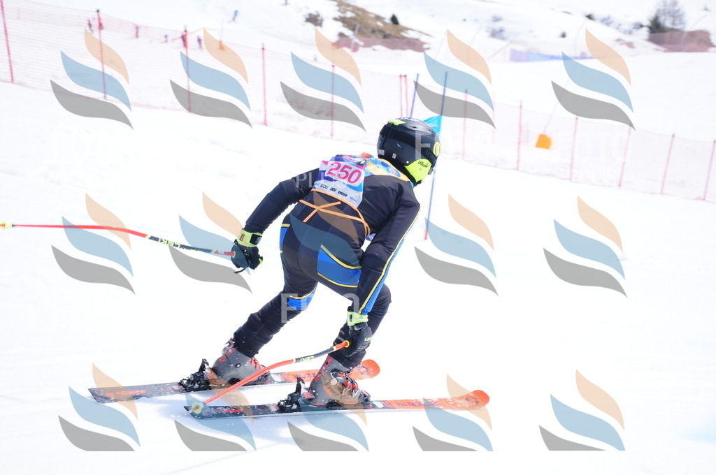 DSC_6228 | holidayphoto