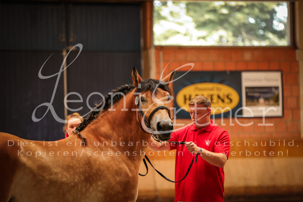 SaFL00102 | Leoni Ertmer Photography - Realisiert mit Pictrs.com