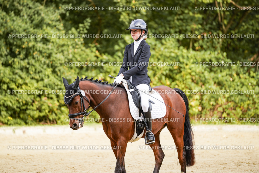 DSC09697 | Pferdegrafie