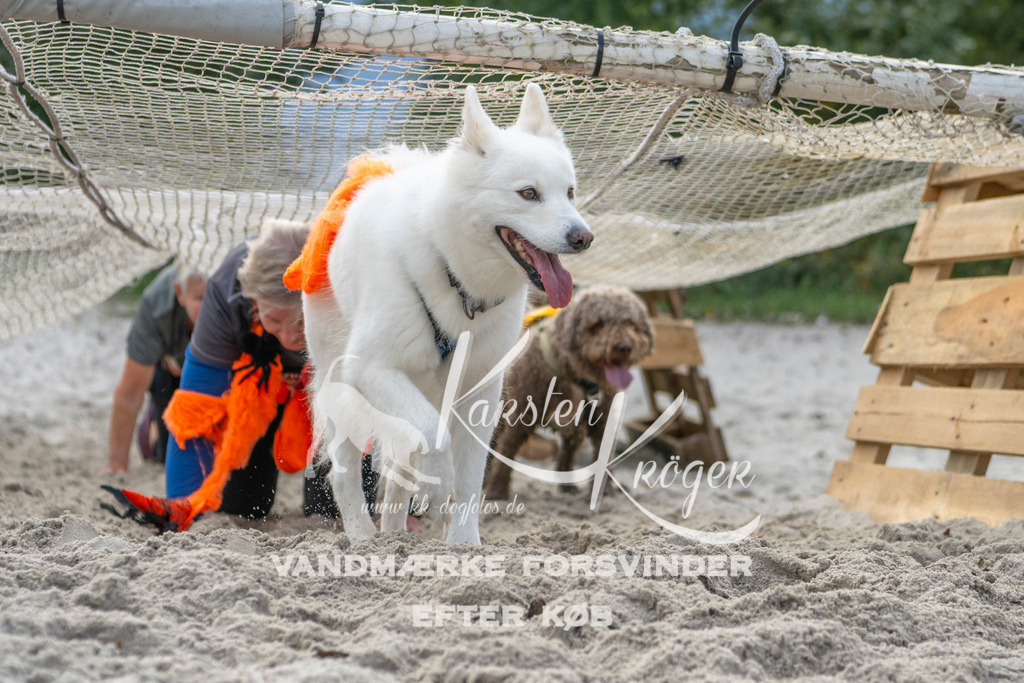 1133_ZZ97637 | kk-dogfotos