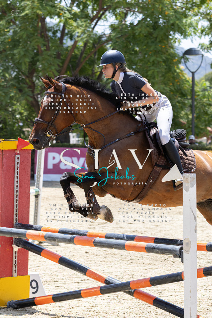 IMG_1412 | s-jay-photography - Realisiert mit Pictrs.com