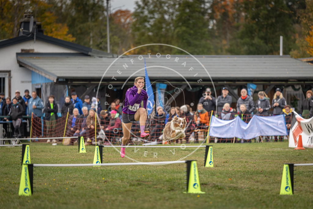 Pfotenfotografie_DV3A7366 | Hundefotografie, Tierfotograf, Pfotenfotografie, Fotoshooting Hund, Hunde Portrait, Hundesport, Hundeportraits, Heideshooting, Hunde, Sportfotograf, Hundefotograf, Turnierhundsport, THS,  - Realisiert mit Pictrs.com