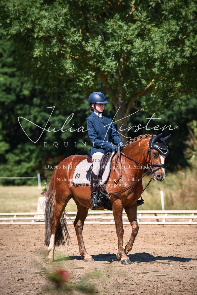 DSC_3509 | Pferde- und Turnierfotografie in Westsachsen. Pferdeportraits, Auftragszeichnungen und intuitive Kunst.