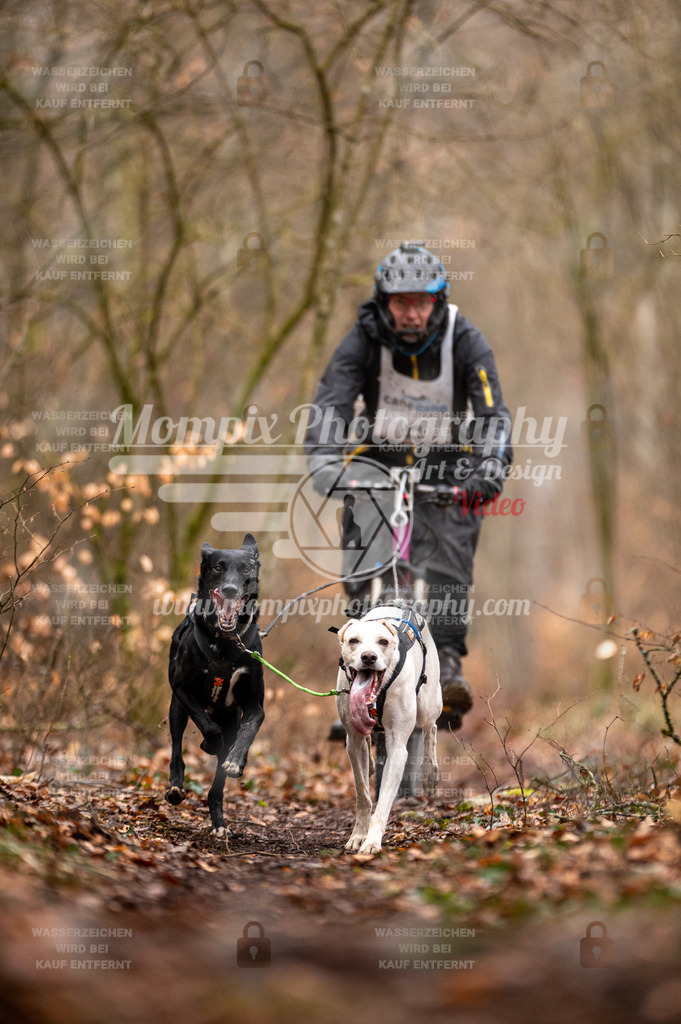 Reiat2023_SON_Bike_8km_2H-3 | mompixphotography