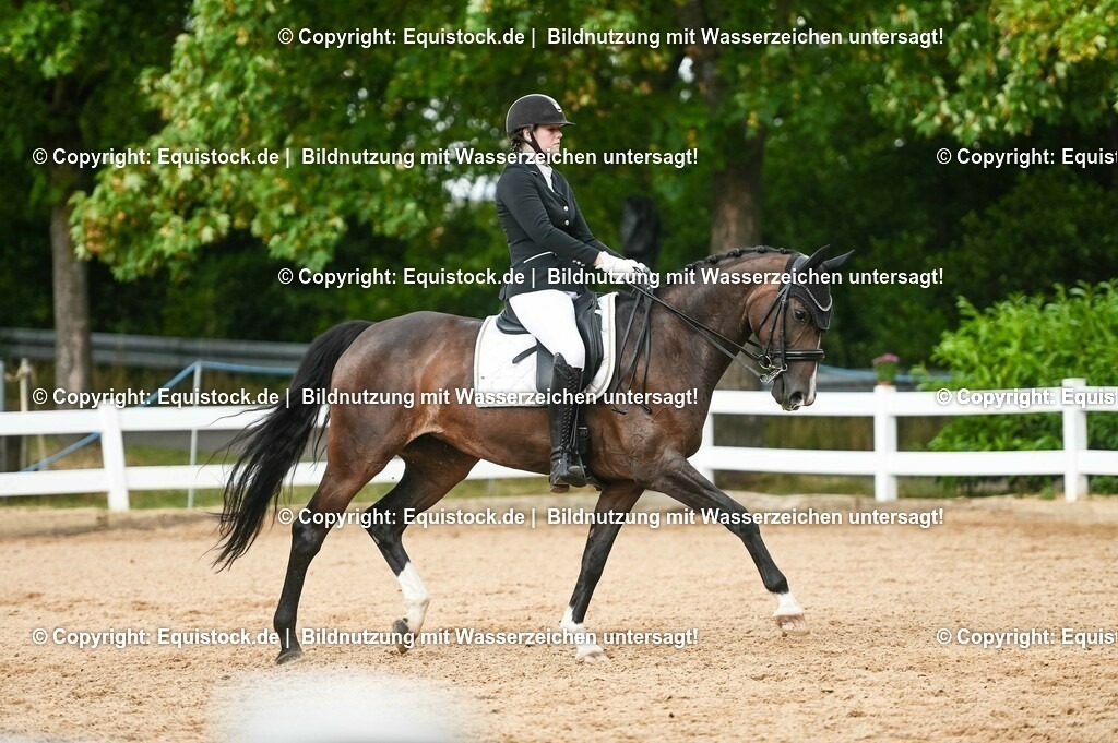 20230716_01_Dressurprüfung Kl.M_0526 | equistock