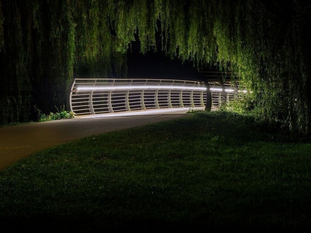 Bürgerpark Braunschweig | Nachtaufnahme im Bürgerpark Braunschweig