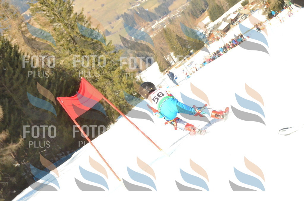 C7225 | holidayphoto