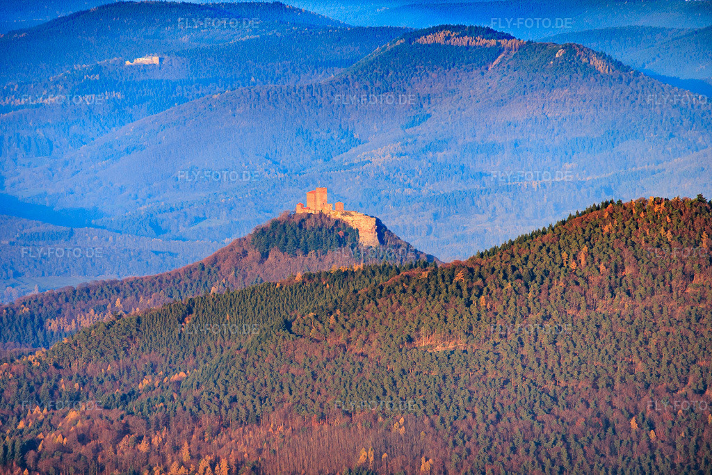 Luftbild: Burg Trifels im Hintergrund Burgruine Neuscharfeneck in Annweiler am Trifels im Bundesland Rheinland-Pfalz in Deutschland. Foto: IMG_151812.jpg vom 22.11.2025 durch Werner Riehm/FLY-FOTO.de