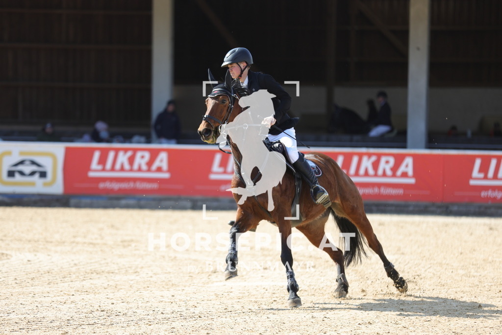 0P6A2064 | Willkommen bei Brunnmayr - Design & Fotografie – Ihrem Spezialisten für Reitturniere und Pferdeveranstaltungen in Oberösterreich, Salzburg und Bayern! Seit über 17 Jahren sind wir leidenschaftlich dabei.