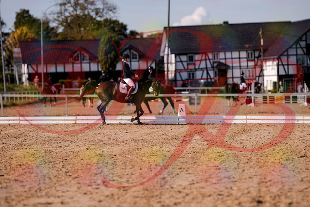 2026_10_03_Siefer-Hof_125817_Z81_48006941 | Professionelle Reitsport-, Turnier- und Eventfotografie von Robert Broda. Galerien mit ausgewählten und bearbeiteten Bildern direkt online ansehen und bestellen.