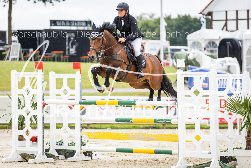 BHO-2PhSpr-M-161 | MomenTaufnahmen Pferdesportfotos