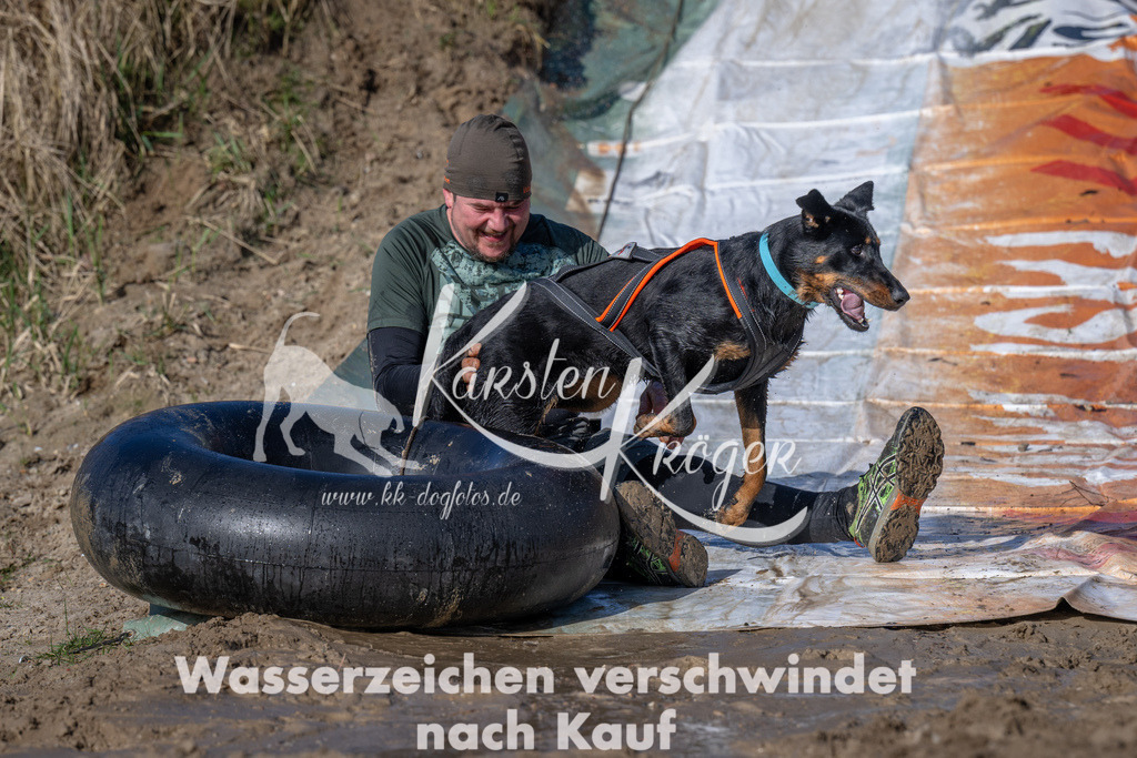 0910_ZZ91102 | kk-dogfotos