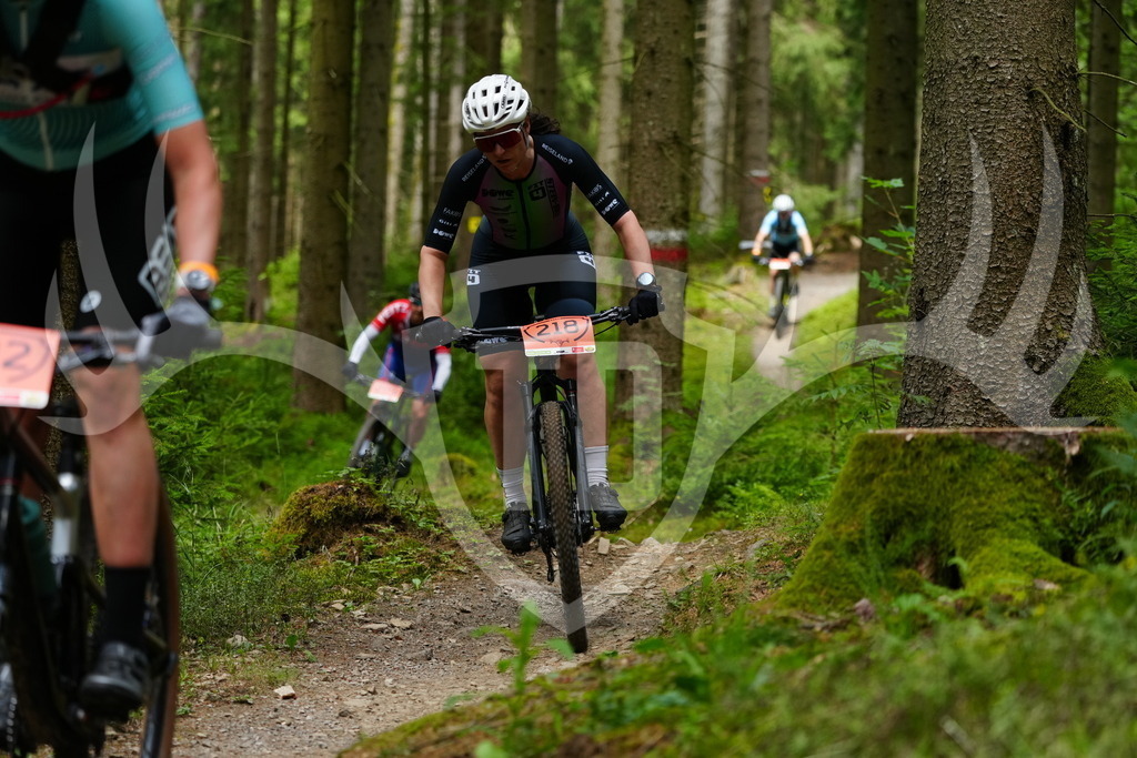 FC100435 | Fotogalerie der Treibjagd im Dunkelwald - Dein MTB Etappenrennen im Erzgebirge - Realisiert mit Pictrs.com