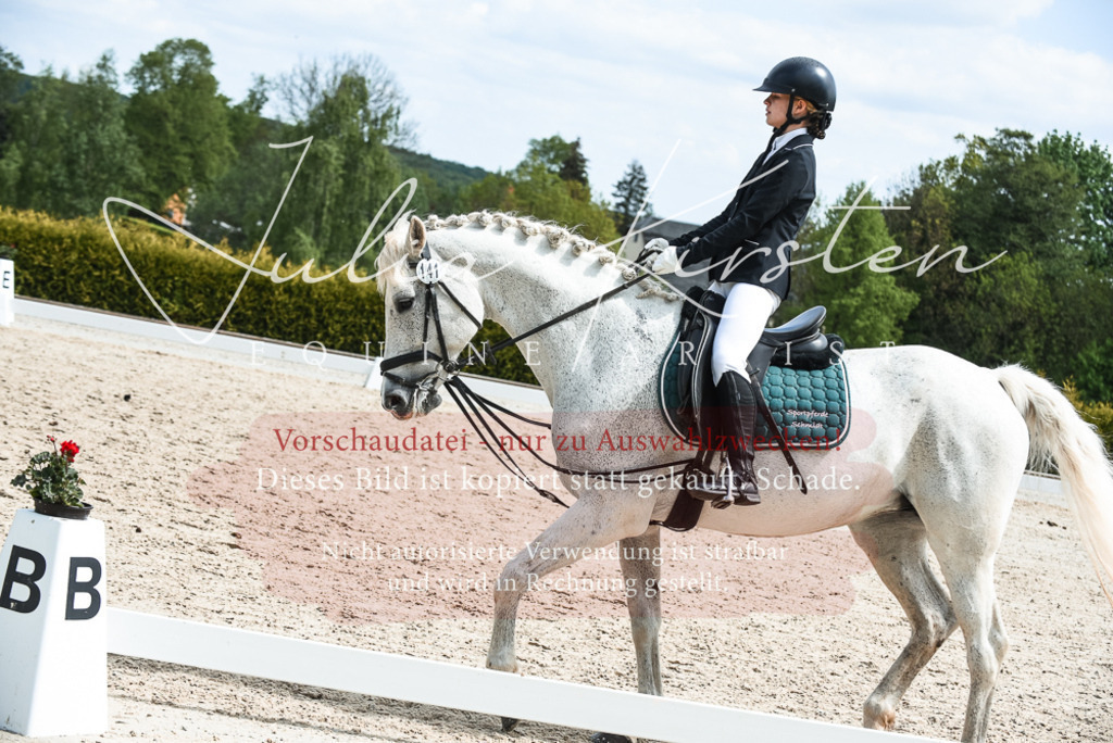 20230518_JK-Röhrsdorf-11-0596 | Pferde- und Turnierfotografie in Westsachsen. Pferdeportraits, Auftragszeichnungen und intuitive Kunst.