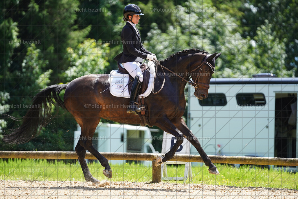 20240705-FAH04122 | Turnierbilder von Grafing, Reitsportbilder, Turnierfotos, Turnierfotografen Bayern, Pferdefotograf, Fotoagentur Herrmann