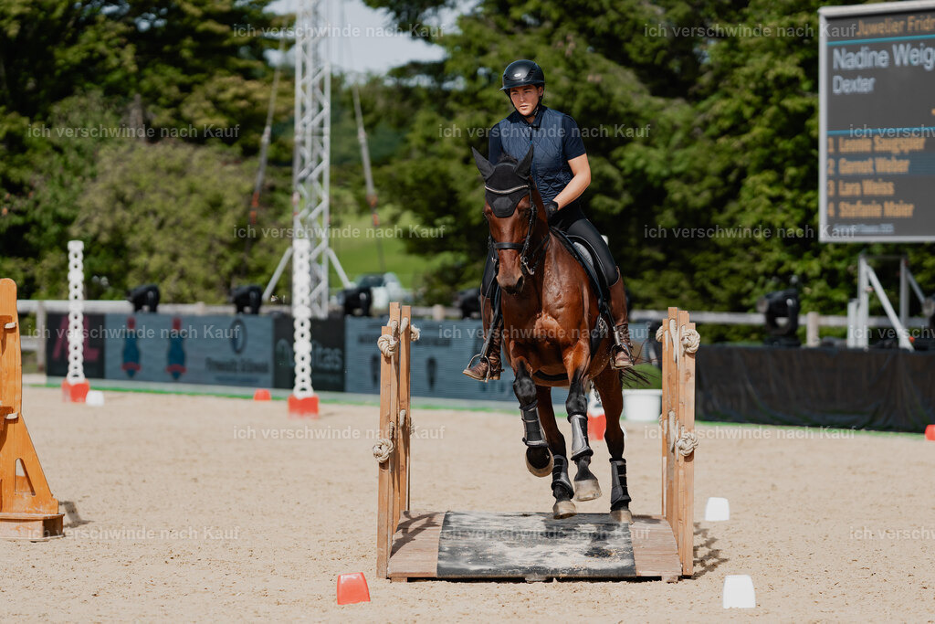 Nadine22_FHC2025-140 | working equitationturnier fotograf videograf stoibphotography marixx film working equitation deutschland reitsport turnierfotografie eventfotografie equestrian events