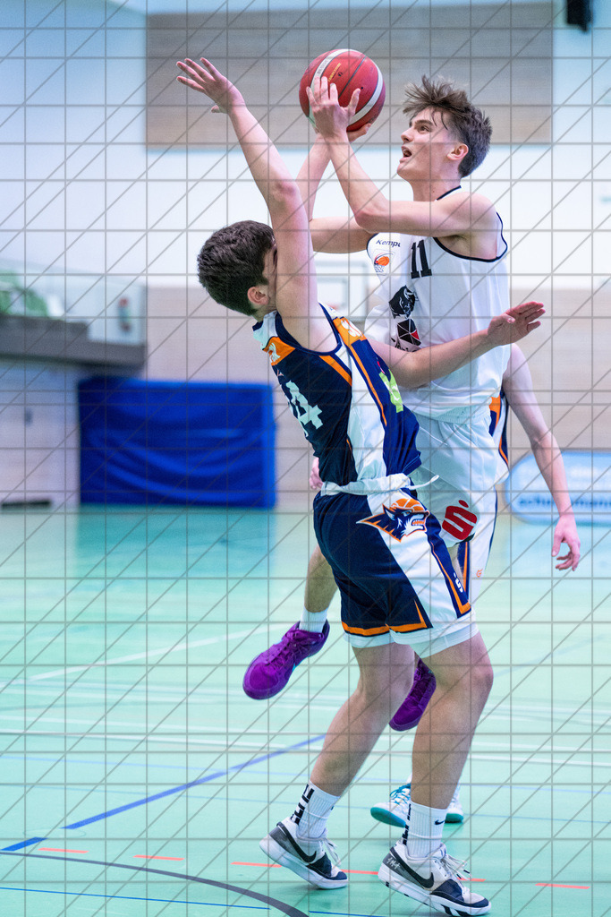JBBL 24/25 | 19.01.2025 | Charisma Young Bulls vs. Rostock Seawolves | JBBL 24/25 | 19.01.2025 | Charisma Young Bulls vs. Rostock Seawolves - - - - - CREDIT, www.bullenfotos.de, Martin König, Hörner Weg 40, D-49078 Osnabrück, +4917663732967, Nutzung und Weitergabe nur zu den vereinbarten Zwecken. Presseanfragen an Urheber. Alle Rechte beim Urheber. - - - - - - Realisiert mit Pictrs.com