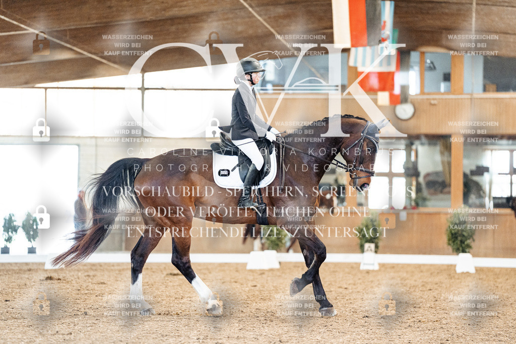 CK908493 | Turnierfotografie Pferdefotografie Trier Rheinland-Pfalz Pferdesport Reitsport Tierfotografie Sportfotografie Pferdevideo Pferdevideografie Equestrianvideography equestrianphotography  - Realized with Pictrs.com