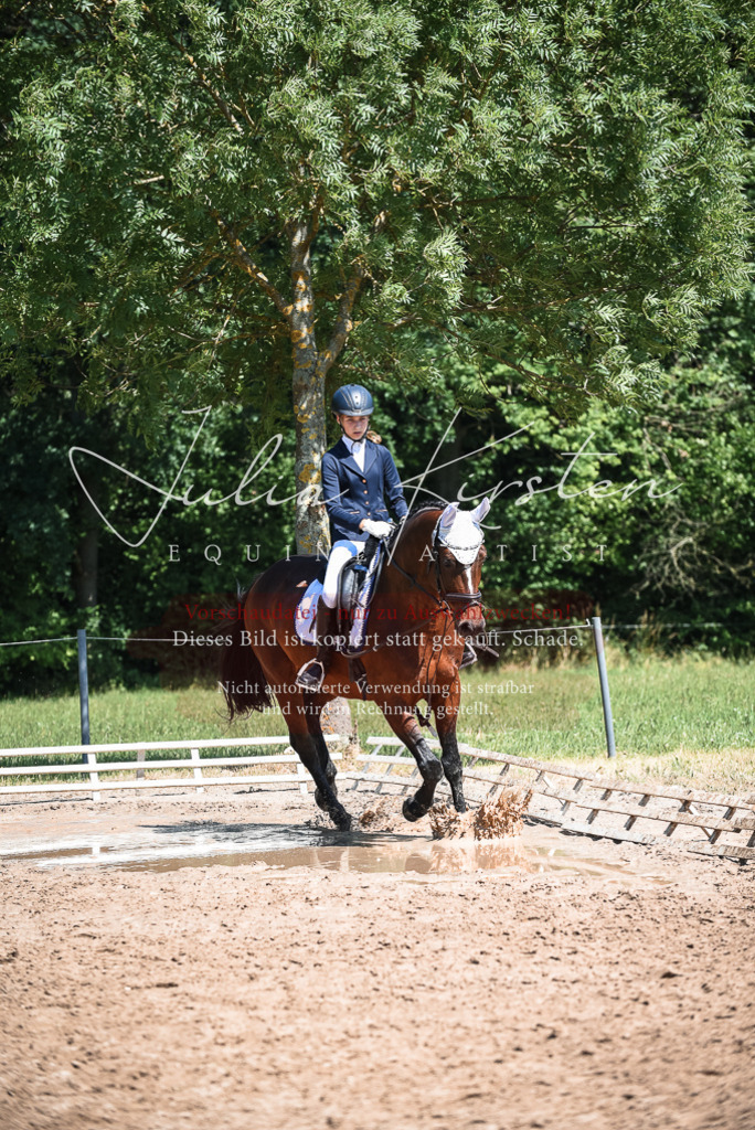 DSC_3487 | Pferde- und Turnierfotografie in Westsachsen. Pferdeportraits, Auftragszeichnungen und intuitive Kunst.